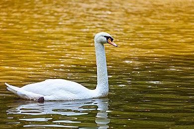 SE对《Outriders》销量满意 称赞XGP培养了用户基础